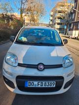 Fiat Panda - Fiat Panda Gebrauchtwagen in Dortmund