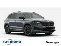 Skoda Karoq - Vorschau Bild 1
