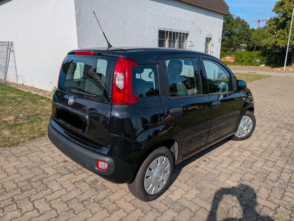 Image of Fiat Panda