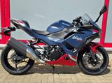 Kawasaki Ninja 500 SE Neu, Mod. 2026, sofort verfügbar! - KAWASAKI 500