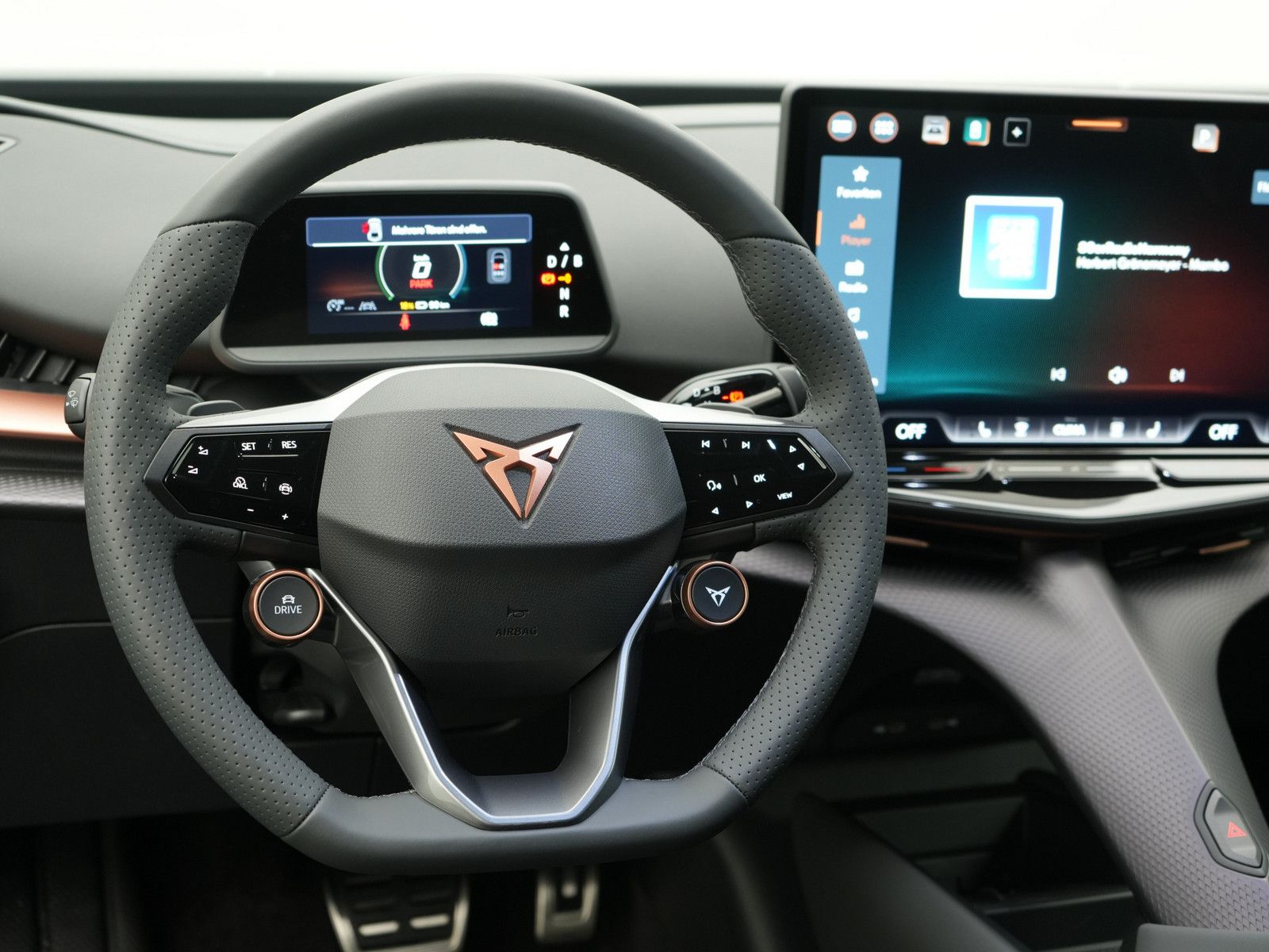 Cupra Tavascan - Bild 10