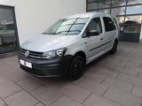 Volkswagen Caddy 1.0 TSI Kombi Maxi 5-Sitzer/Klima/PDC - VW Caddy Gebrauchtwagen in Kassel