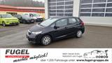Honda Jazz 1.3 i-VTEC Comfort SHZ|Temp|PDC - Honda Jazz Gebrauchtwagen in Chemnitz