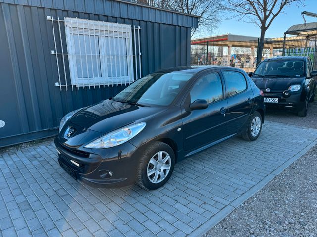 Peugeot 206 + Basis HA&AU*NEU 1 Hand