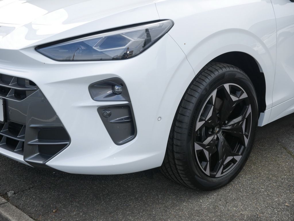Cupra Terramar - Bild 12