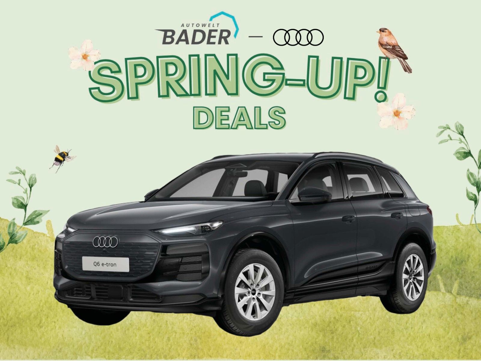 Audi Q6 e-tron "Spring-Up" AUTOWELT-BADER!
