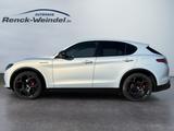Alfa Romeo Stelvio Competizione Q4 2.0 Turbo AD El. Fondsit - Alfa Romeo Stelvio Benzin Gebrauchtwagen