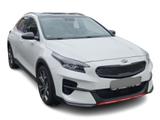 Kia XCeed 1.6 T-GDI Platinum Edition *ACC*Pano*Kam* - Kia XCeed Gebrauchtwagen
