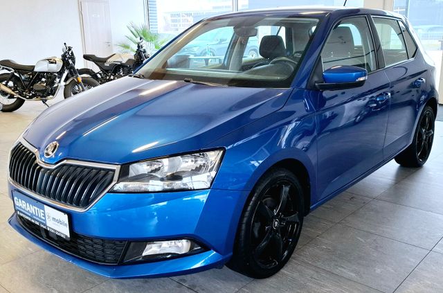 Skoda Fabia Style*LED*R-Kamer*Tempo*Sitzh*Keyless*DAB*