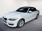 BMW 218i Cabrio/16Z/KLIMA-AUTO/ - BMW: 16