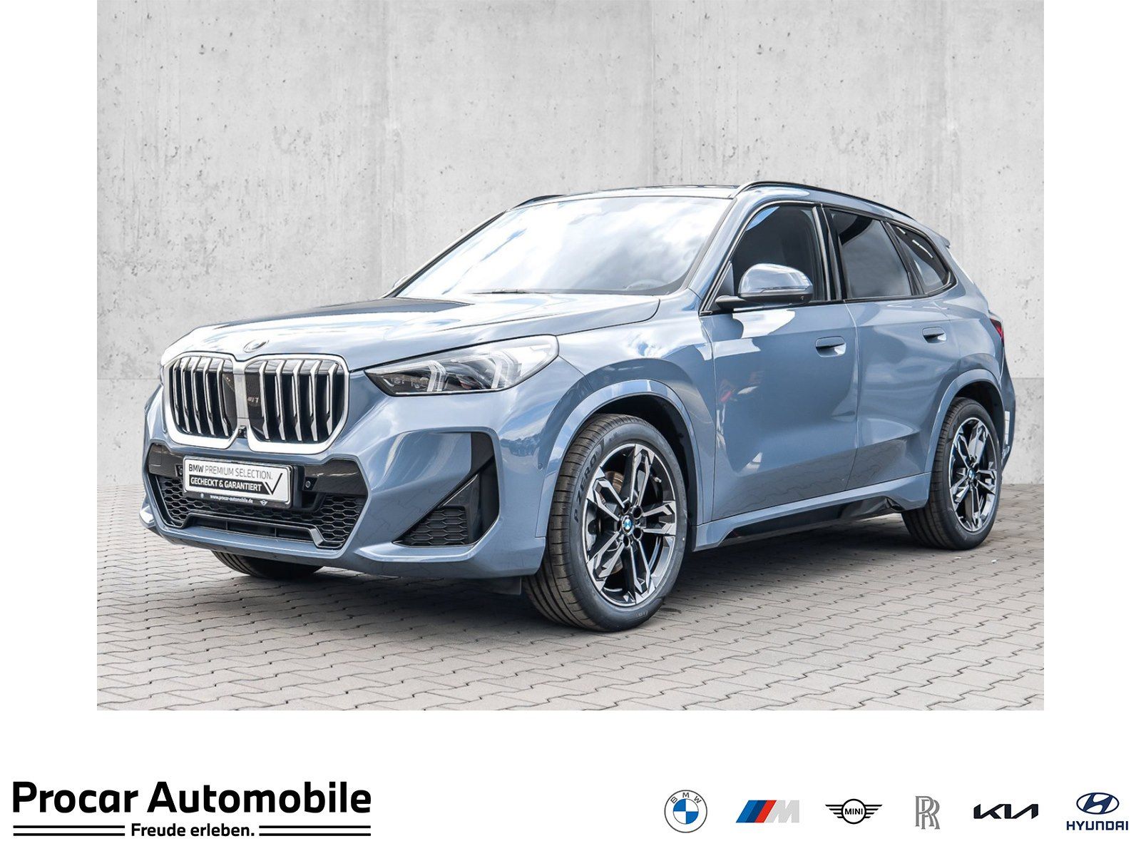 BMW X1 xDrive23i M Sport HUD ACC RFK NAVI LED DAB