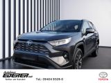Toyota RAV 4 Hybrid 4x4 Team Deutschland 2.5 VVT-i EU6e