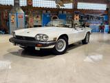 Jaguar XJS 5.3 V12 Coupé  Originalzustand - Jaguar XJS aus 1989