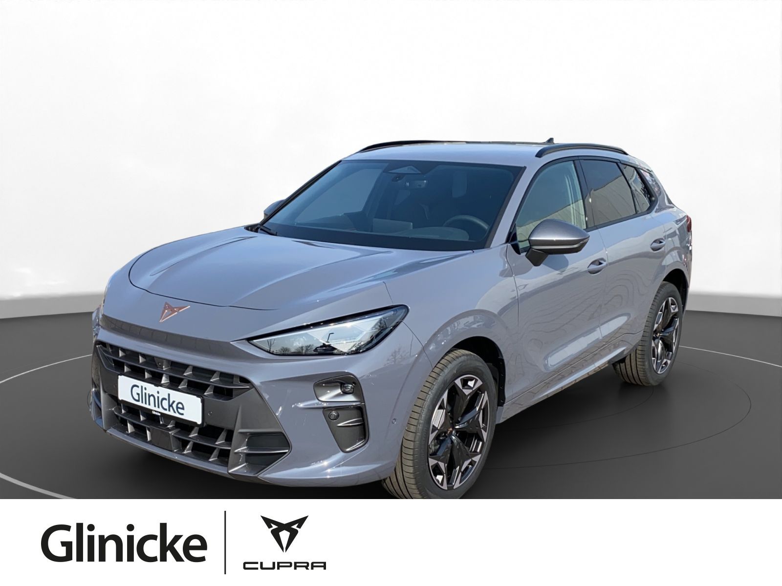 CUPRA Terramar 2.0 TSI 4 Drive DSG AHK Sennheiser ACC