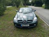 Mercedes-Benz SLK 300 Sport Edition Sport Edition - Mercedes-Benz SLK 300