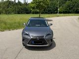 Lexus NX 300 300h  - Lexus NX-Serie Gebrauchtwagen