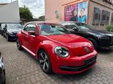 Volkswagen Beetle 2.0 TDI DSG BMT Exclusive Sport Cabrio - Volkswagen Beetle: TDI