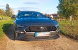 Ford Mustang 5.0 Ti-VCT V8 GT Auto GT - Ford Mustang mit LPG-Antrieb