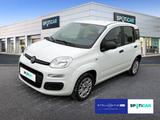 Fiat Panda 1.2 8V Easy Klima, Radio, Schlüssel mit FB - Fiat Panda: Easy