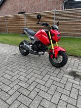 Honda MSX Grom 125 gepflegt, viele Umbauten - Honda MSX125 Grom