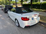 BMW 220i Cabrio MSport/Kamera/Xenon/Leder/Scheckheft - BMW in München