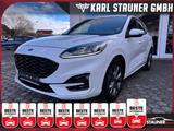 Ford Kuga ST-Line KAMERA KEYLESS KLIMAAUTO DAB - Ford Kuga: Weiß