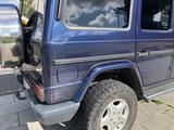 Mercedes-Benz 300 TD  ORC Fahrwerk  1.Lack - Mercedes-Benz 300 in Gelsenkirchen