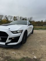 Ford Mustang 5.0 Ti-VCT V8 GT500 Coupé TAUSCH 20 Zoll - Ford Mustang: 50