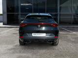 Cupra Formentor Tribe VZ 4Drive 2.0 TSI DSG LED Navi A - Cupra Gebrauchtwagen in Bonn