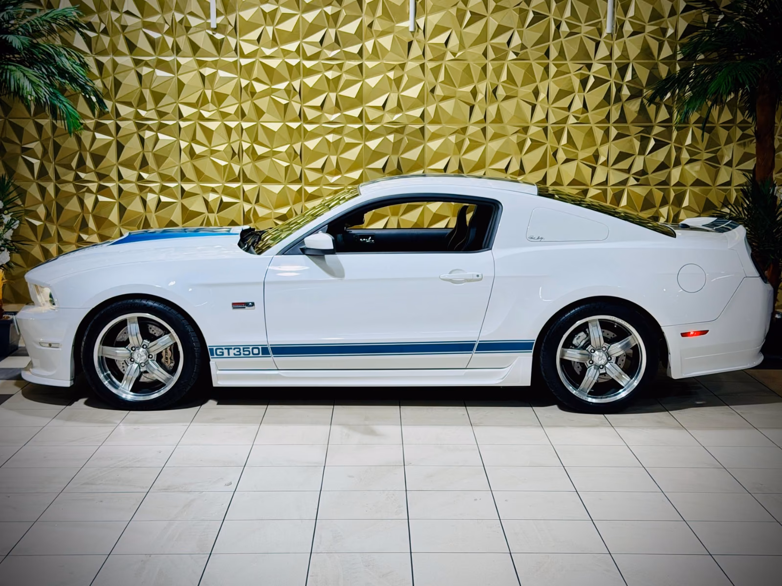 Ford Mustang Shelby American GT 350|624PS|CSM|SAMMLER