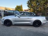 Ford Mustang 2,3 Ecoboost Convertible/Automatik/Leder - Ford Mustang Gebrauchtwagen
