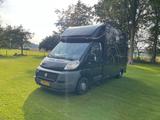 Fiat Ducato 2-Pferde-Transporter | Baujahr 2011  - Angebote