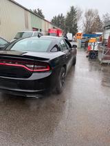 Dodge Charger - Dodge Charger Gebrauchtwagen