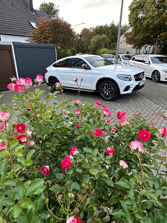 Image of Mercedes-Benz GLC 250