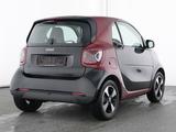Smart fortwo EQ passion LED Kamera Pano Winter-P. - Smart Gebrauchtwagen von 2024