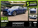 Ford Mustang 5.0 Ti-VCT V8 GT CS *ACC*beh.Lenk*Navi - Ford Mustang: Cs