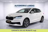 Skoda FABIA  TOUR  / AUTOMATIK / KLIMAAUTOMATIK /SHZ - Skoda Fabia: Tour