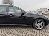 Mercedes-Benz E 350 E -Klasse T-Modell E 350 BlueTec 4Matic - Mercedes-Benz E 350 mit Diesel-Antrieb: Kombi
