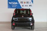 Fiat Panda Cross 1.0 GSE Hybrid - Fiat Panda: Schwarz