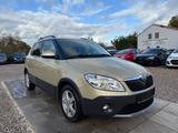 Skoda Fabia Scout Business Sportsitze Sport Lenkrad - Skoda Fabia: Sports