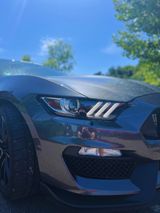 Ford Mustang Shelby GT350  - Ford Mustang: Gt350 Shelby