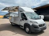 Fiat Ducato/Verkaufswagen mit Ausbau/Klima/3-Sitzer - Angebote