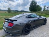 Ford Mustang GT V8, Schalter, Navi, SHZ, 55 Years - Ford Mustang Gebrauchtwagen in Augsburg