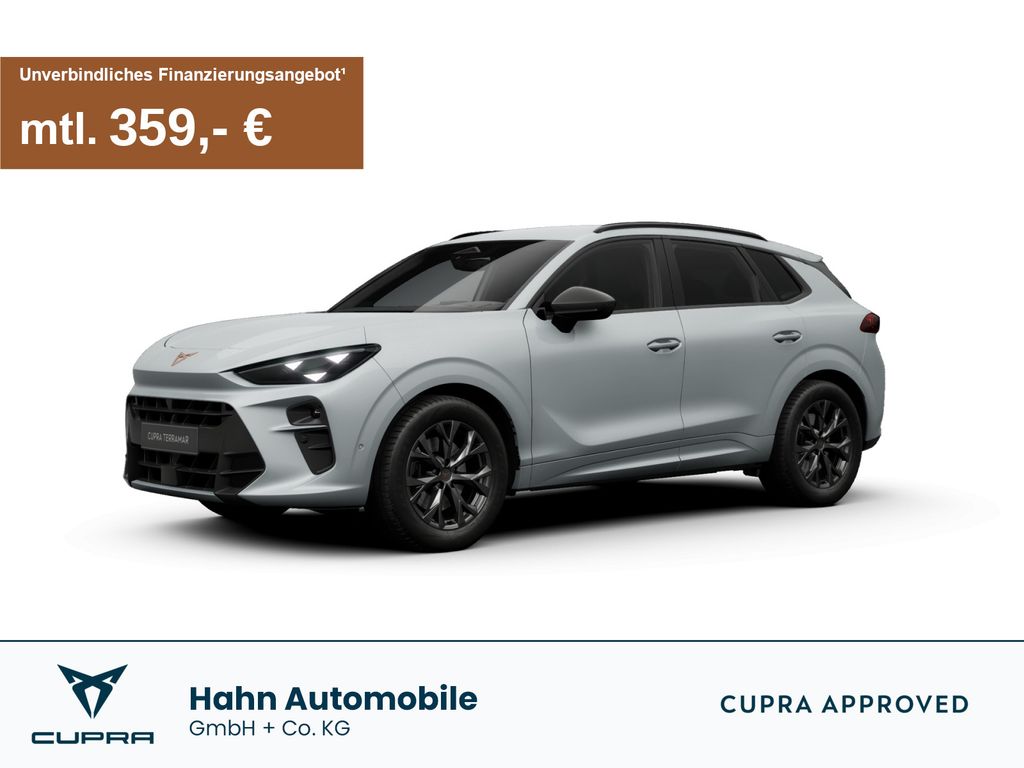 Image of Cupra Terramar