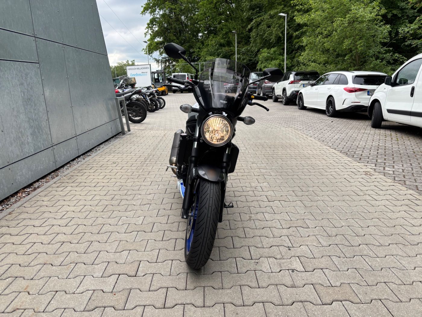 Fahrzeugabbildung Suzuki SV 650