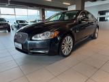 Jaguar XF XF 3.0 D V6 Luxury - Jaguar XF: Luxury