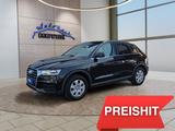 Audi Q3 2.0TDI 150PS 8*Alu/AHK/Navi/Xenon/Keyless - Audi Q3 TDi Gebrauchtwagen