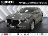 Mazda CX-30 2.5 SKYACTIV-G M Hy. Takumi Navi ACC LED - Mazda CX-30 Takumi mit Benzin-Antrieb