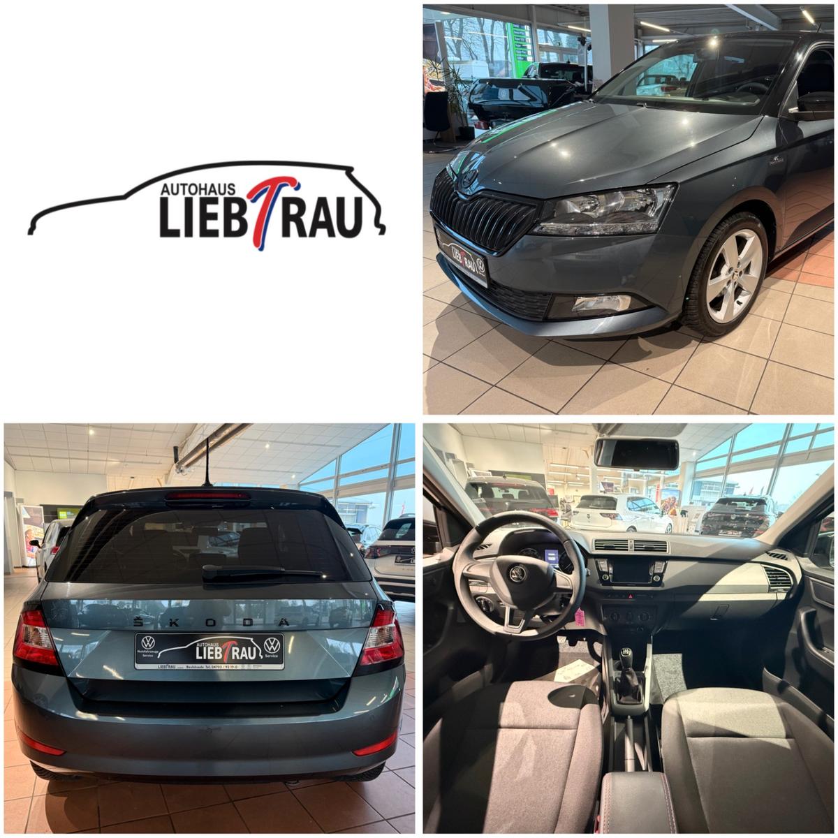 Skoda Fabia 1.0 Cool Plus *PDC hinten*SmartLink*DAB*