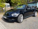 Volkswagen VW Beetle Cabrio 1,2 TSI BMT ALLSTARS BJ 2... - Volkswagen Beetle in Berlin
